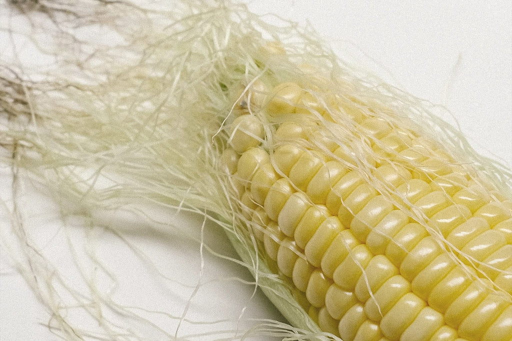 YUMI® Leather. Made from corn. A big milestone for O.N.E.