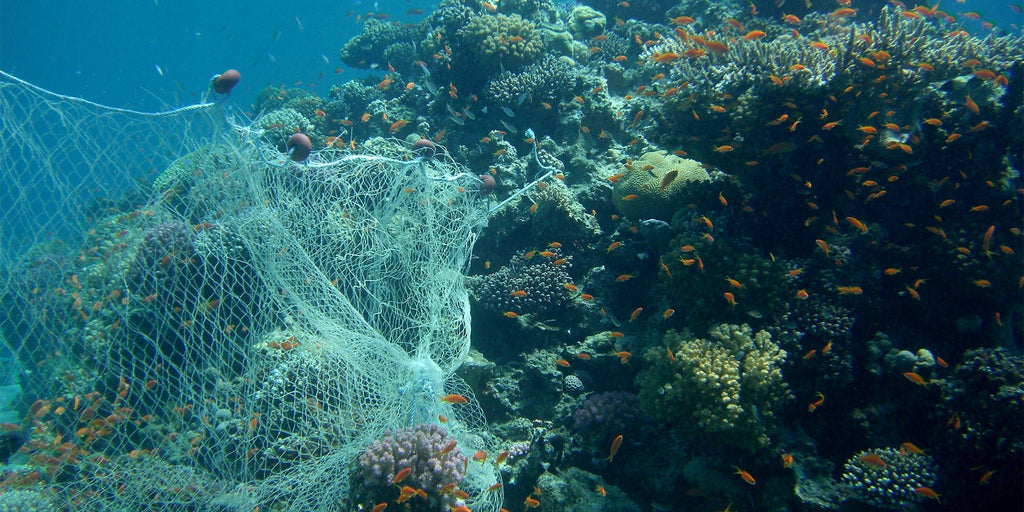 Some of the Dark(er) Inspirations Behind our Hebo Collection